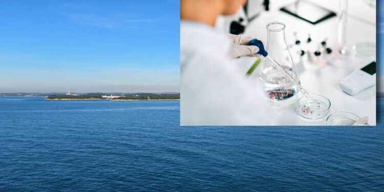 Hrvatski znanstvenici potvrdili: "Dramatično raste broj čestica mikroplastike u Jadranu!"