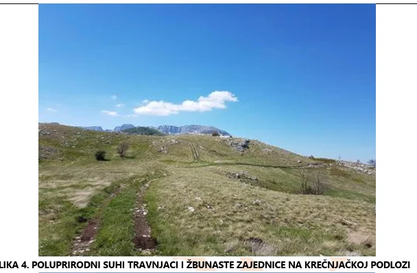 Pločno
