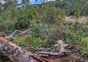 šuma Marjan ponovno se otvara za građane