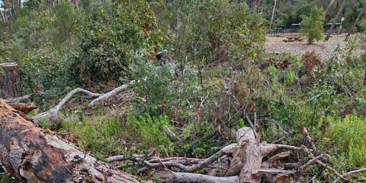 šuma Marjan ponovno se otvara za građane