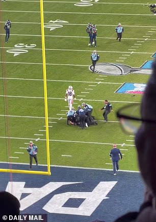 Osiguranje se potom nagomilalo kako bi osiguralo da je čovjek uhvaćen i odveden s terena