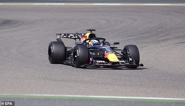 Verstappen vjeruje da se sada više osjećaju kao bolidi Formule E, manje čisti i ne tako zabavni za vožnju
