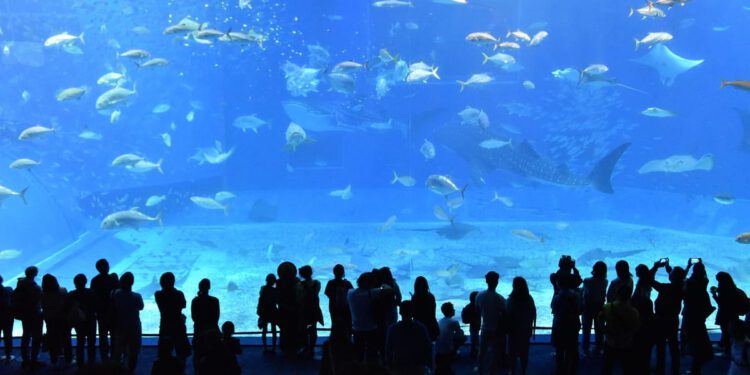 Akvariji omogućuju kontrolirana istraživanja i vrijedna saznanja o zaštiti prirode