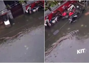 Apokaliptični prizori na omiljenom otoku Hrvata: Biblijski potop izbacio goleme nemani na ulice
