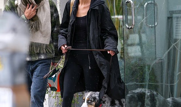 Bella Hadid viđena u dispanzeru marihuane u Los Angelesu dok se bori s lajmskom bolešću