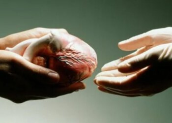 BiH ubrzava put prema Eurotransplantu uz potporu Hrvatske