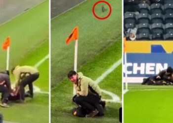 Championship, vjeverica upadne na teren i… sve se dogodi da je uhvati