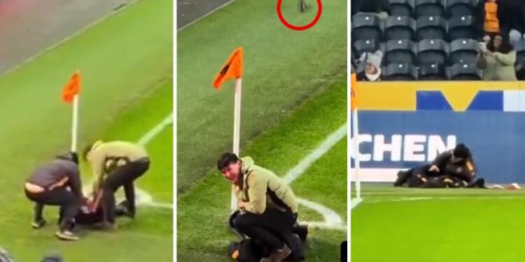 Championship, vjeverica upadne na teren i… sve se dogodi da je uhvati