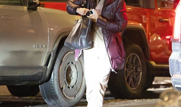 Courteney Cox uživa u večeri s ‘velikom prijateljicom’ i suprugom na ekranu dok ostaju zajedno u njezinom domu u New Yorku uoči snježne oluje