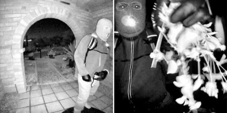 DNK izvučen iz rukavice pronađene u blizini kuće Nancy Guthrie jer FBI vjeruje da bi mogla pripadati osumnjičeniku viđenom na kameri zvona