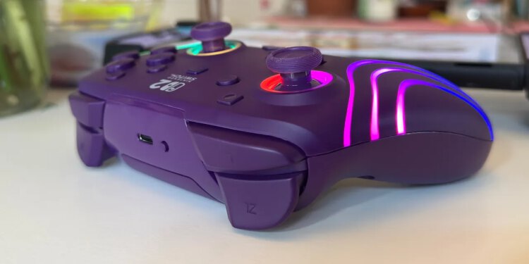 Dobar P2 gamepad za Switch 2 kojem nedostaje jedna previše značajki