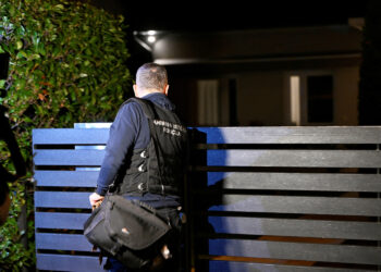 Ekspert za sigurnost otkriva zašto odjednom diljem Hrvatske padaju osumnjičenici, lokalni šerifi i narko milje