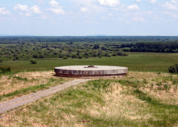 Europski tužitelji istražuju Viktoriju Knežević, a trebali bi sami sebe
