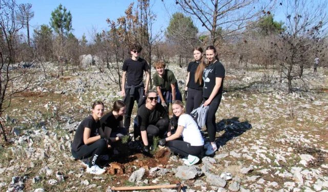FOTO Oko 150 volontera u Ljubuškom posadilo 2.000 sadnica crnog bora