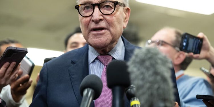 Financiranje ICE-a i val u cijeloj zemlji postavili su Schumera za još veću bol zbog zatvaranja