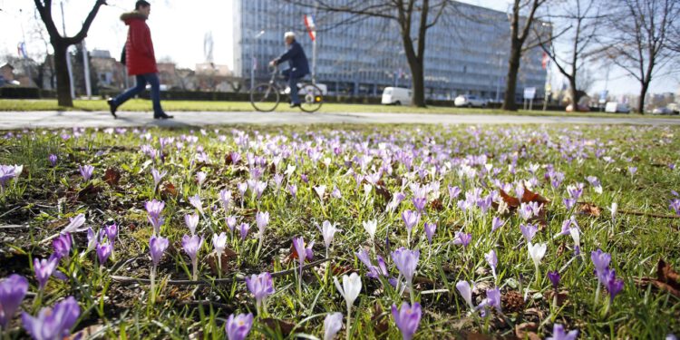 Iznenadno ‘proljeće’ u Hrvatsku donijelo neugodu pojavu: Mnogi Hrvati će to osjetiti