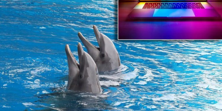 Kemikalije iz televizora i laptopa pronađene u mozgovima dupina i pliskavica