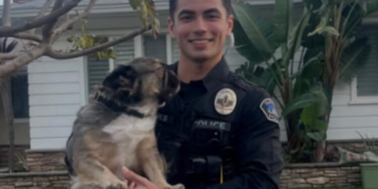 Korisnici društvenih mreža padaju u nesvijest dok fotografija kalifornijskog policajca na dužnosti sa psićima postaje viralna: ‘Identificiram se kao pas’