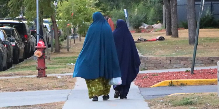 Krivična gonjenja u Minnesoti za sakaćenje genitalnih genitalija ostaju nula unatoč državnom kaznenom zakonu