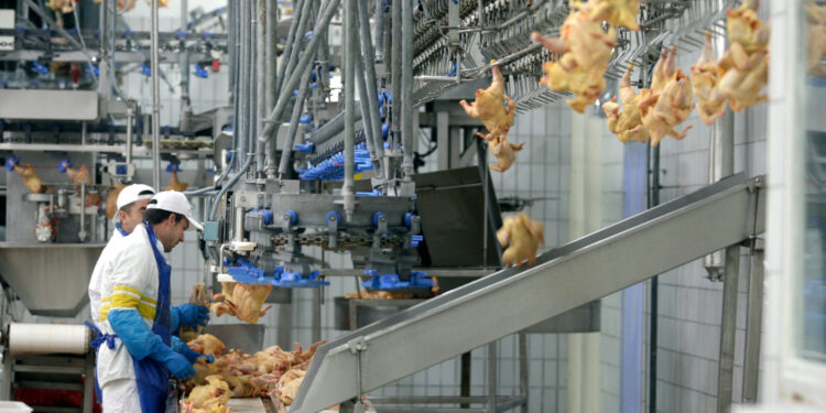 Ljudi strahuju zbog novog megaprojekta u Sisku: ‘Gdje ovo nikne, život prestaje’