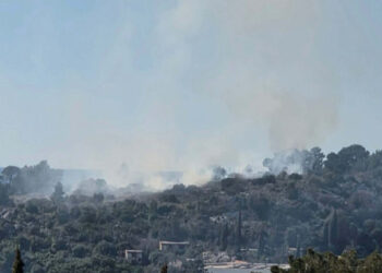 Lokaliziran požar na Goričini: Vatrogasci reagirali brzo i učinkovito