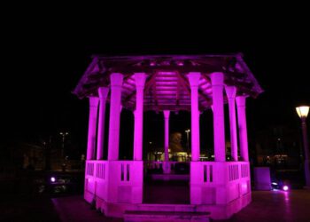 Mali Glorijet zasvijetlio ljubičasto: Solin obilježio Međunarodni dan epilepsije