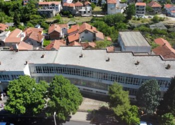 Mostarska škola poziva građane da pomognu 15-godišnjem Darisu Dizdareviću u borbi protiv karcinoma