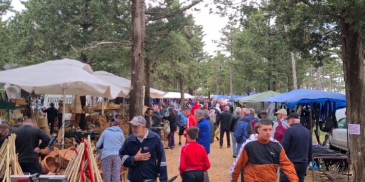 Na Benkovačkom sajmu ‘svega blaga’: “Šteta je što kod mladih dama prolaze samo fensi markice, a ovde ima više nego u centrima”