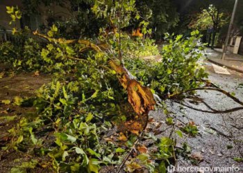 Narančasto upozorenje za Hercegovinu u četvrtak