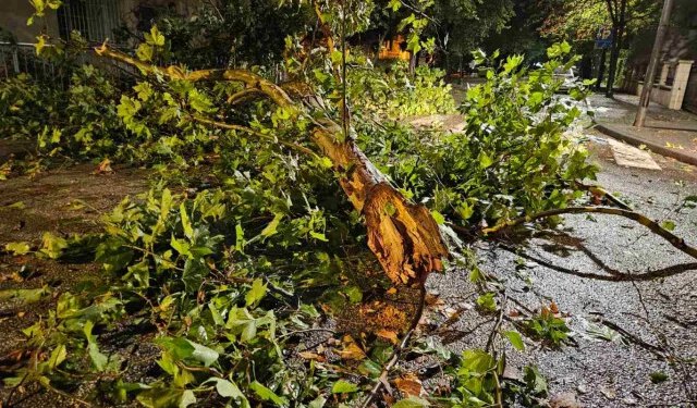 Narančasto upozorenje za Hercegovinu u četvrtak