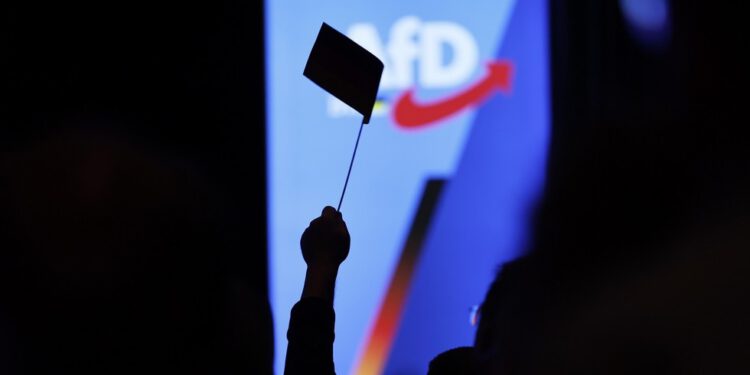 Njemački sudovi blokiraju AfD kao “ekstremistički” — RT World News