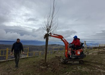 Nova slavina i stabla kod zvjezdarnice u Gornjem Sitnom