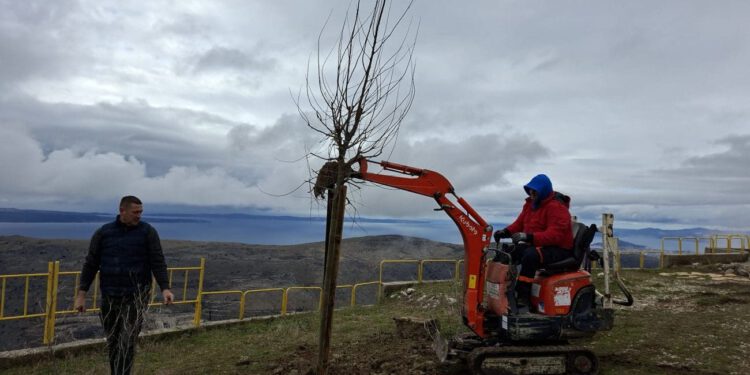 Nova slavina i stabla kod zvjezdarnice u Gornjem Sitnom