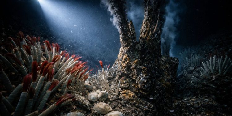 OTKRIĆE KOJE JE PROMIJENILO ZNANOST