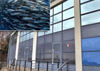 Obnavljat će se nekadašnja Veletržnice ribe u Poreču