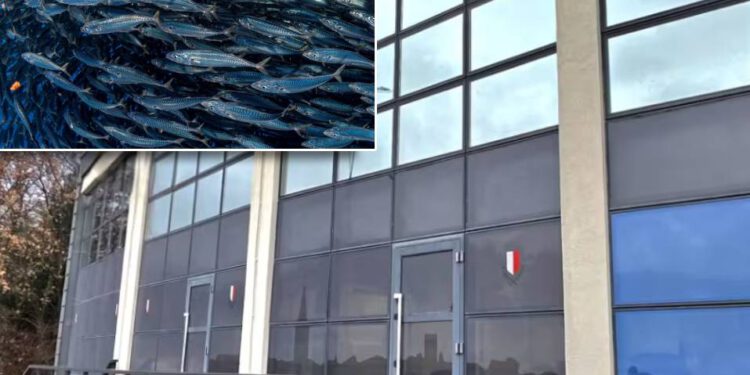 Obnavljat će se nekadašnja Veletržnice ribe u Poreču