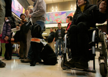 Ovi hrabri Hrvati čekali su 25 godina veliku vijest: ‘Doći će do poplave novih zahtjeva’