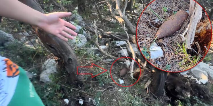 Planinar s djetetom u mljetskoj šumi pronašao neeksplodiranu granatu iz Drugog svjetskog rata!