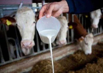 Poljoprivrednici traže hitnu reakciju vlasti zbog mlijeka