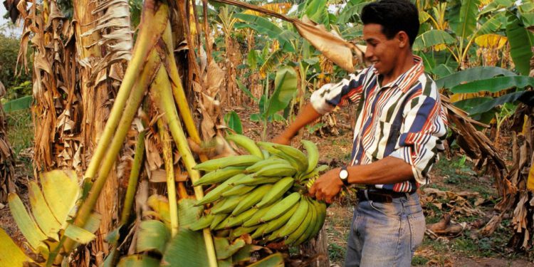 Prilika ‘jednom u desetljeću’ da se promijeni trag pomoći Ujedinjenog Kraljevstva u svijetu