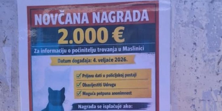Slučaj trovanja mačaka na Šolti: za informacije o počinitelju nude dvije tisuće eura