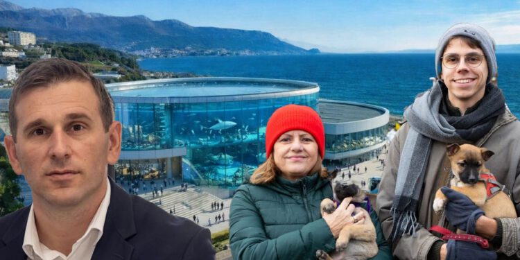“Splitu ne trebaju stakleni ‘zatvori'”: Umjesto akvarija na Žnjanu, Udruga traži sklonište za napuštene životinje