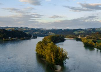 Strašne vijesti s Dunava: Ribe počele masovno umirati