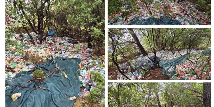 Sve ćemo očistiti, volimo ovaj otok i nećemo odustati!