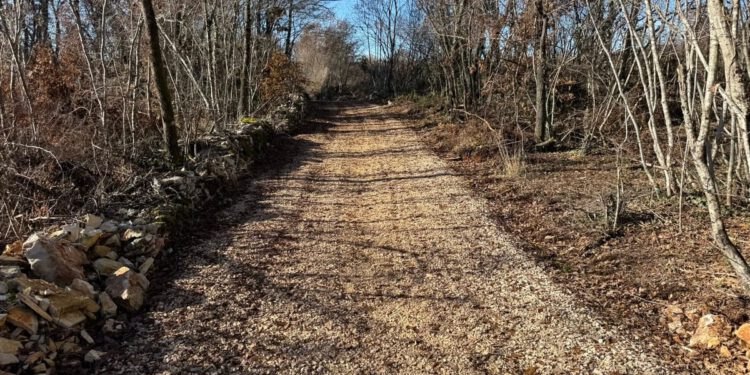 Svetvinčenat nakon deložacija uvodi red na poljoprivrednom zemljištu: “Ljudi ne mogu živjeti u kamp