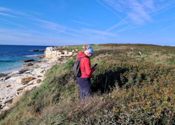 Terensko istraživanje morskih vranaca na području Nacionalnog parka Brijuni