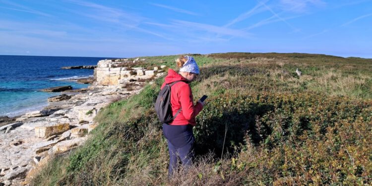 Terensko istraživanje morskih vranaca na području Nacionalnog parka Brijuni