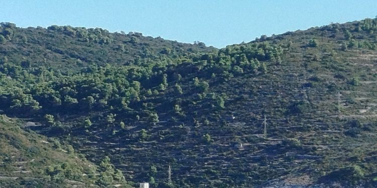 U srcu Šibenika održano predavanje “Vis