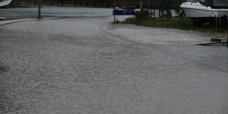 Ustao iz kreveta u Rogotinu i zakoračio