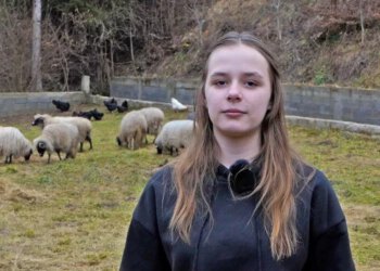 VIDEO Četrnaestogodišnja Ajla uz pomoć dobrih ljudi dobila vlastito stado ovaca